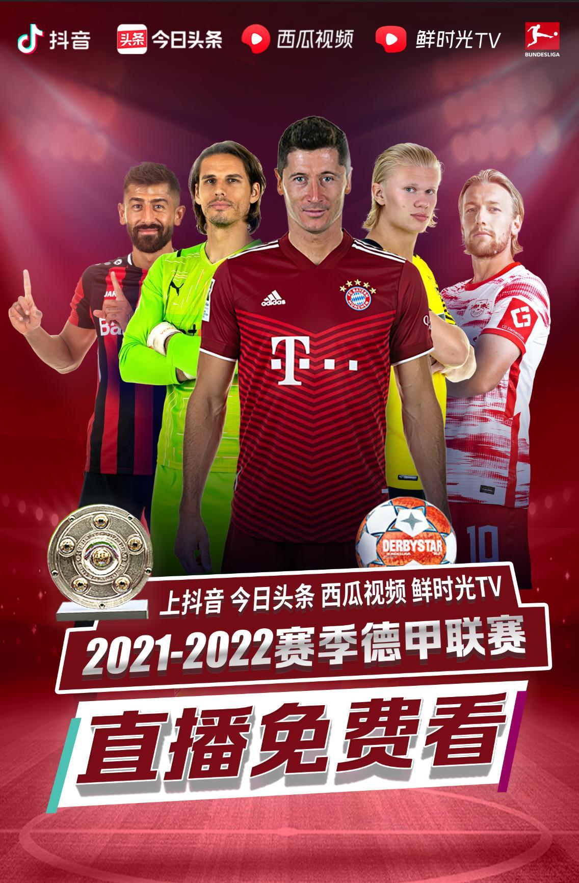 的纽带关
